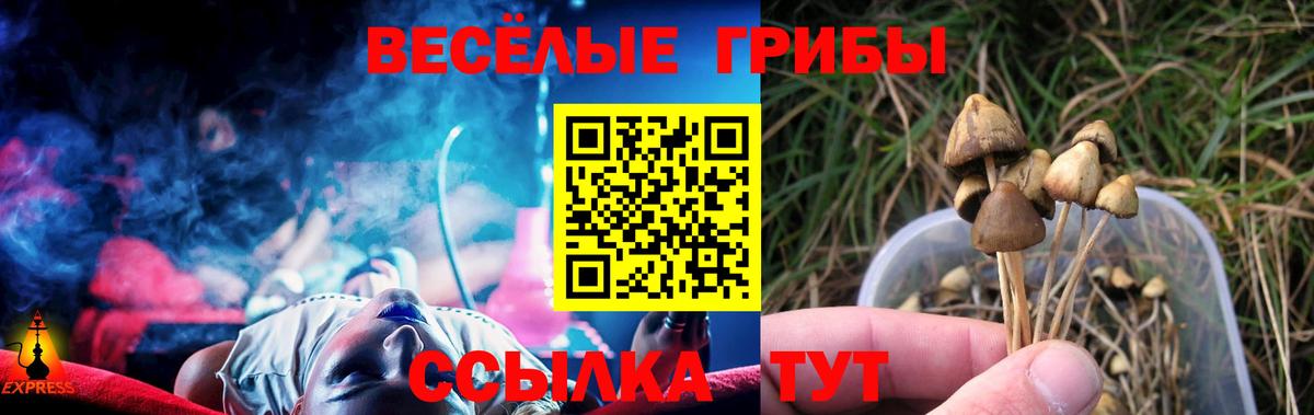 Рыбинск  Псилоцибиновые грибы Magic Shrooms  Псилоцибиновые грибы MAGIC MUSHROOMS  где купить наркоту  Вход с VPN 
